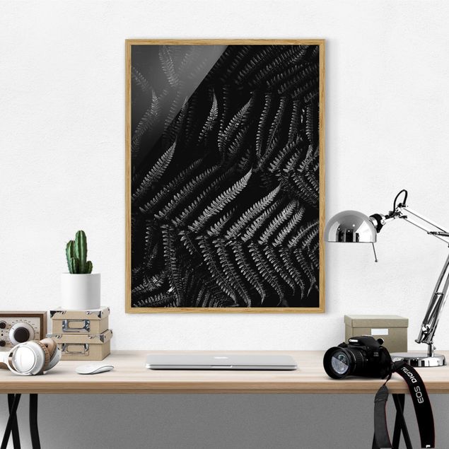 schwarz-weiß Bilder mit Rahmen Schwarz Weiß Botanik Farn