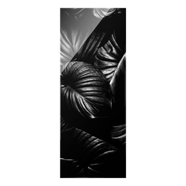 Wandbilder Schwarz Weiß Botanik Hosta