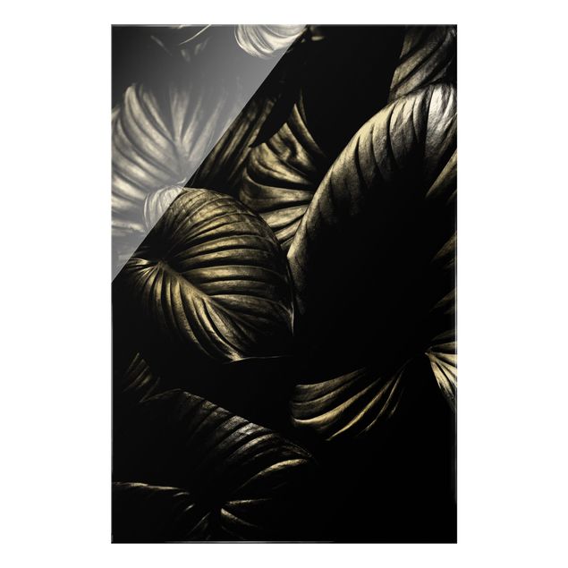schöne Bilder Schwarz Weiß Botanik Hosta