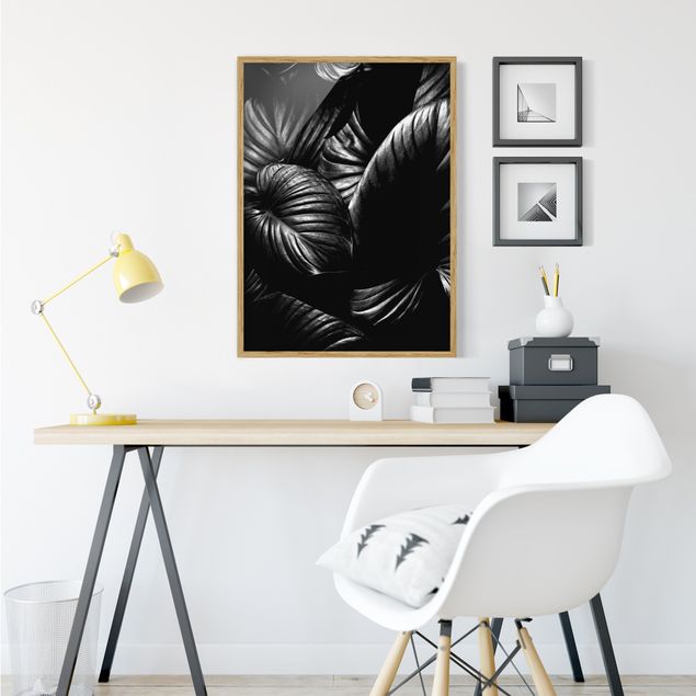 Moderne Bilder mit Rahmen Schwarz Weiß Botanik Hosta
