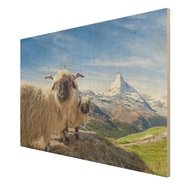 Holzbild - Schwarznasenschafe von Zermatt - Querformat