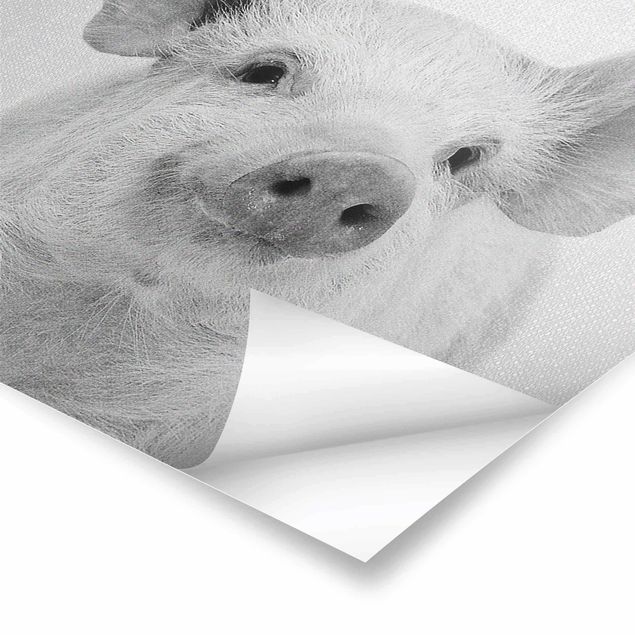 Poster - Schwein Schorsch Schwarz Weiß - Hochformat 3:4