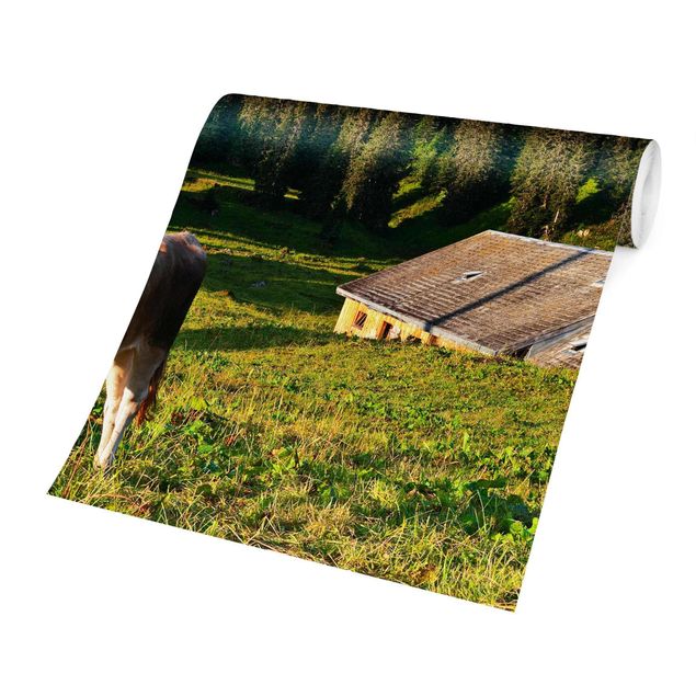 Fototapete - Schweizer Almwiese mit Kuh