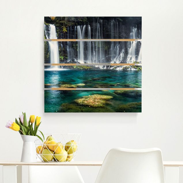 Holzbilder Natur Shiraito Wasserfall
