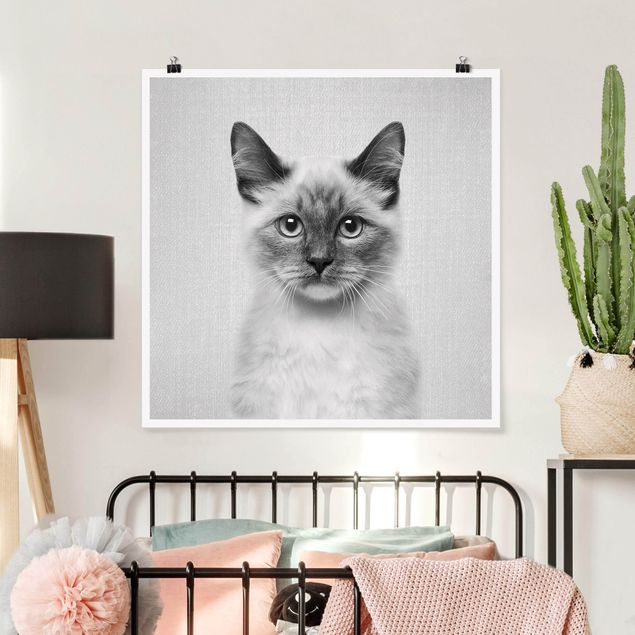 Poster Katzen Siamkatze Sibylle Schwarz Weiß