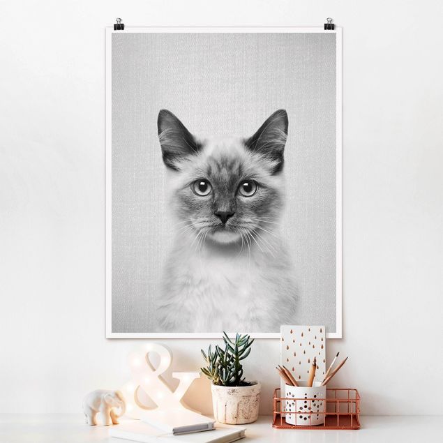 Poster Katzen Siamkatze Sibylle Schwarz Weiß