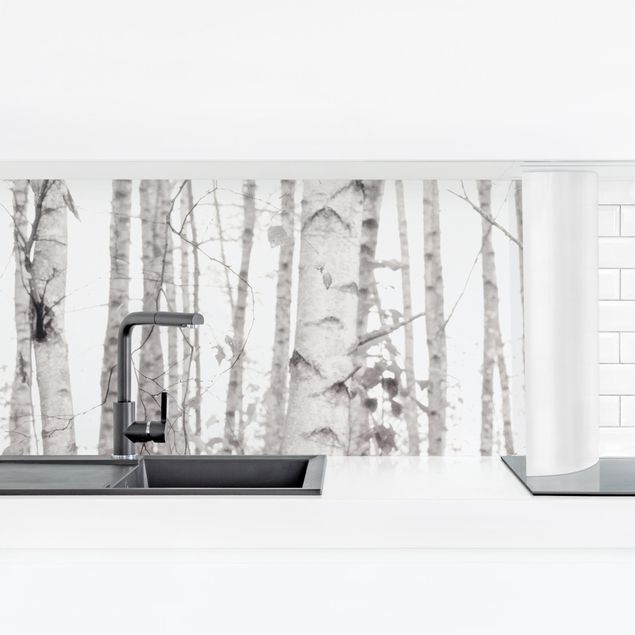 Küchenrückwand - Silberbirke im weißen Licht