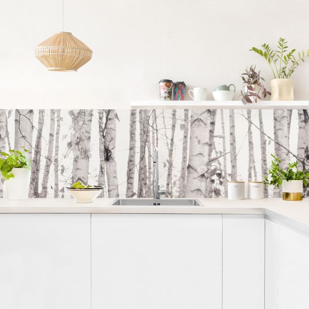 Küchenrückwand - Silberbirke im weißen Licht