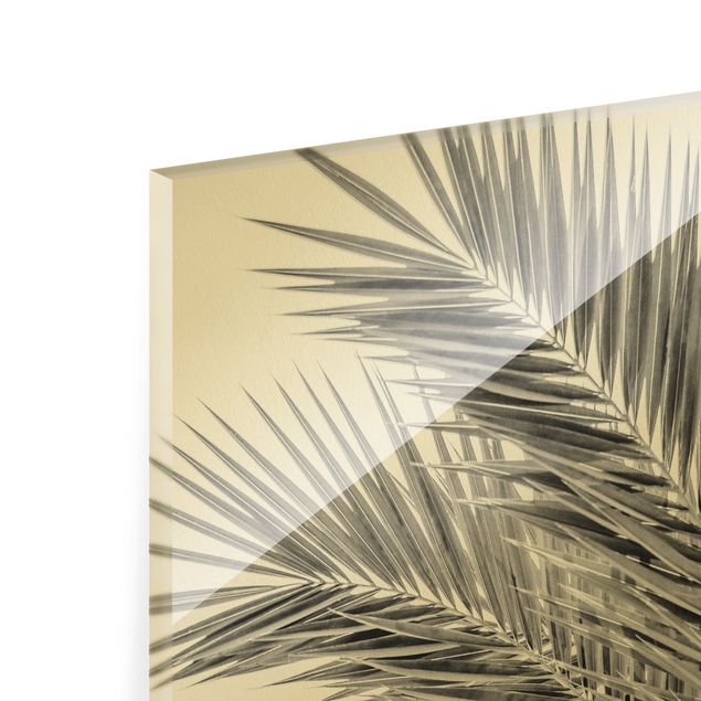 Glas Wandbilder Silberne Palmenwedel