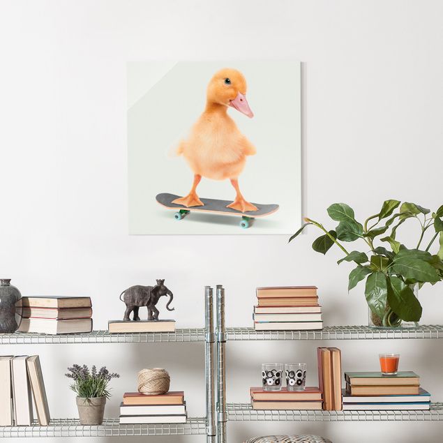 Glasbilder Tiere Skate Ente