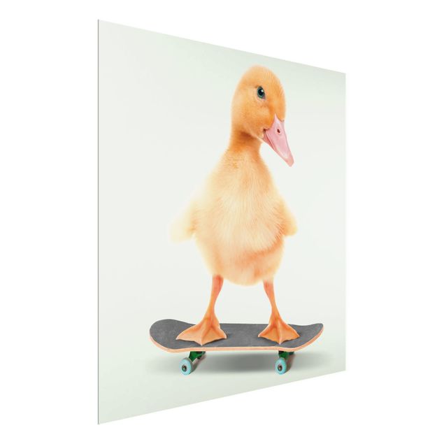 Wandbilder Skate Ente