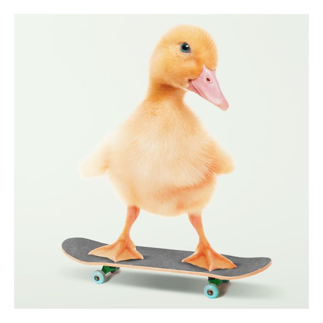 Bilder auf Glas Skate Ente