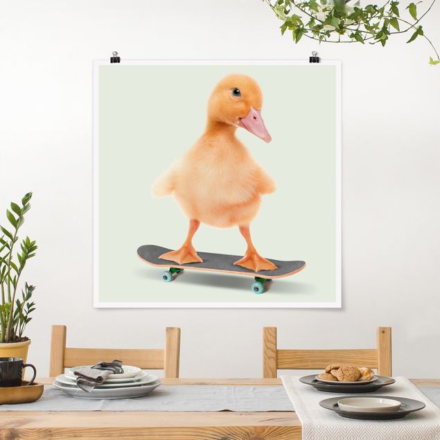 XXL Poster Skate Ente