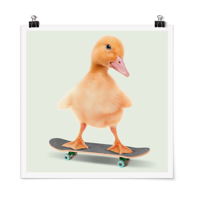 Jonas Loose Bilder Skate Ente