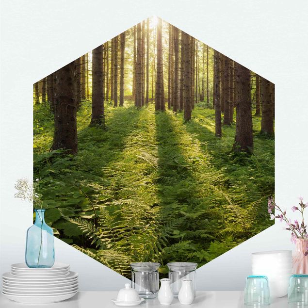 Design Tapeten Sonnenstrahlen in grünem Wald