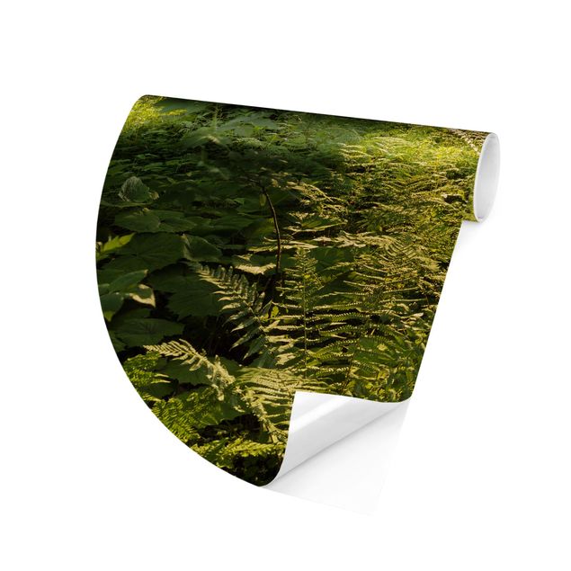 Runde Tapete selbstklebend - Sonnenstrahlen in grünem Wald