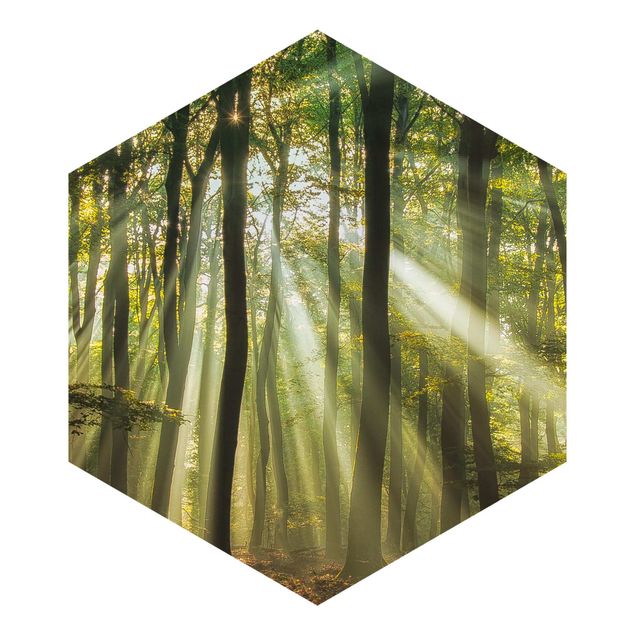 Hexagon Mustertapete selbstklebend - Sonnentag im Wald