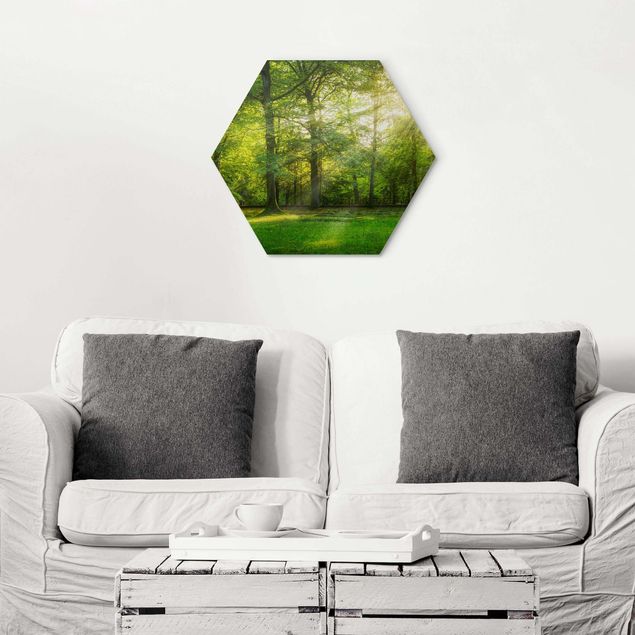 Hexagon Bild Alu-Dibond - Spaziergang im Wald