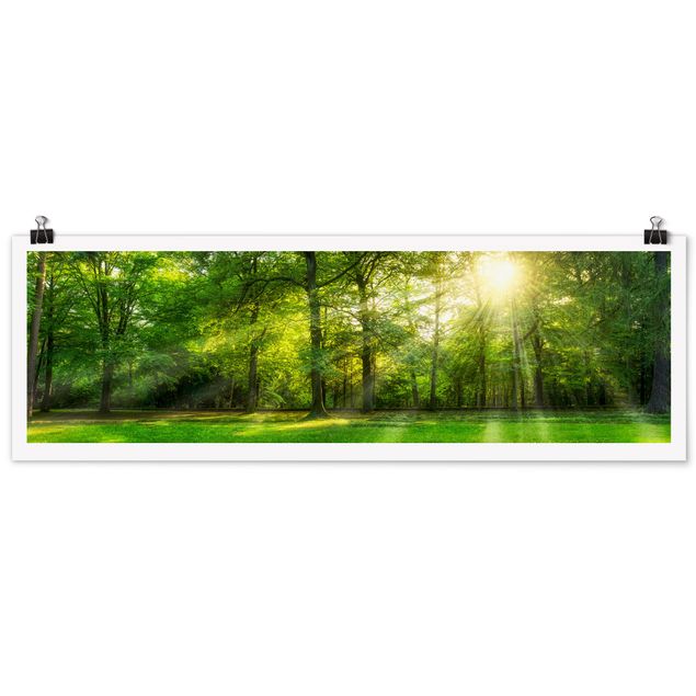 Poster - Spaziergang im Wald - Panorama 3:1