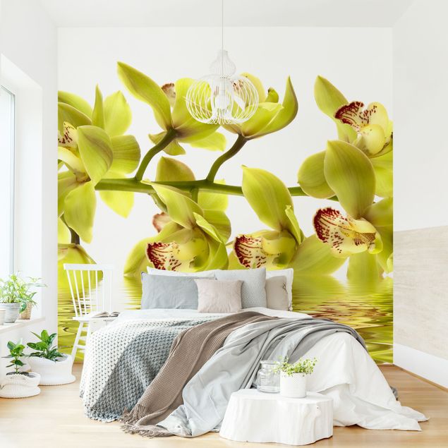 Design Tapeten Splendid Orchid Waters