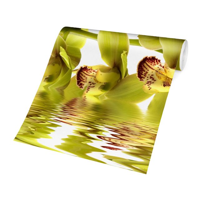 Tapeten kaufen Splendid Orchid Waters