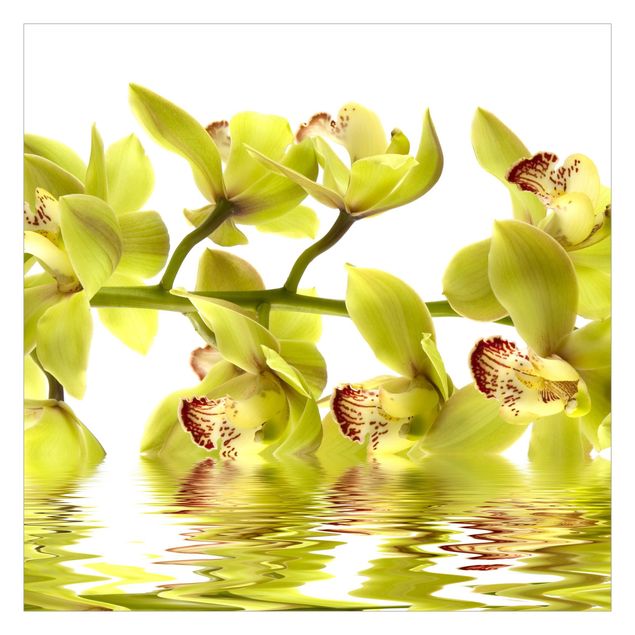 Tapete selbstklebend Splendid Orchid Waters