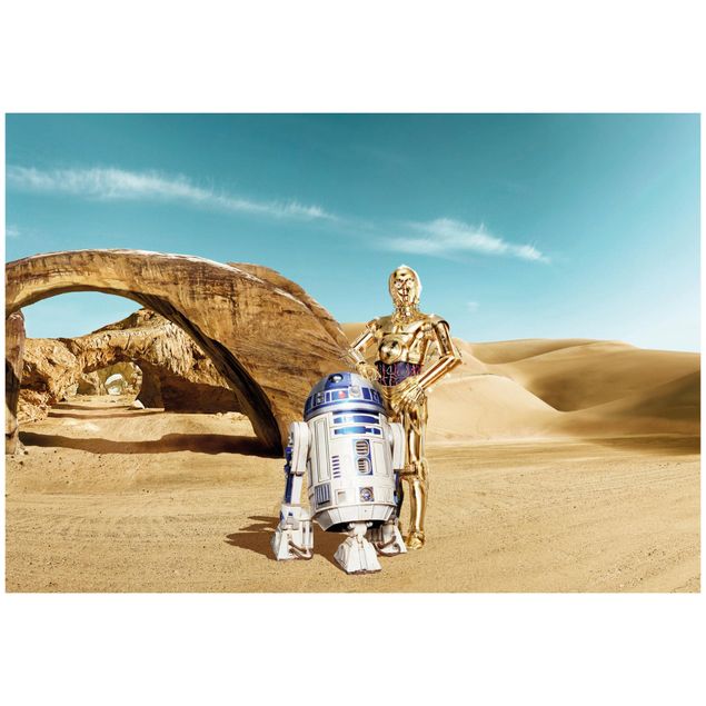 Design Tapeten Star Wars - C-3PO & R2-D2 Tatooine