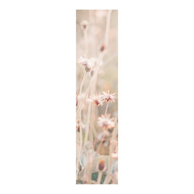 Schiebevorhänge Strahlende Blumenwiese