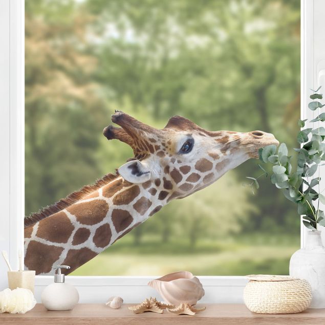 Fensterfolie farbig suchende Giraffe