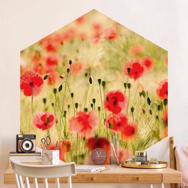Hexagon Mustertapete selbstklebend - Summer Poppies