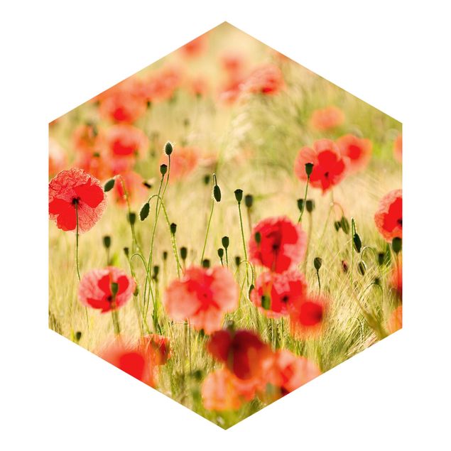 Hexagon Mustertapete selbstklebend - Summer Poppies