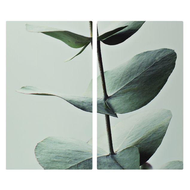 Herdabdeckplatte Glas - Symmetrischer Eukalyptuszweig
