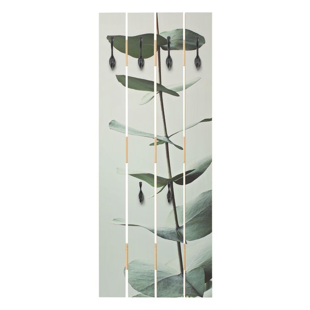 Wandgarderobe Holzpalette - Symmetrischer Eukalyptuszweig