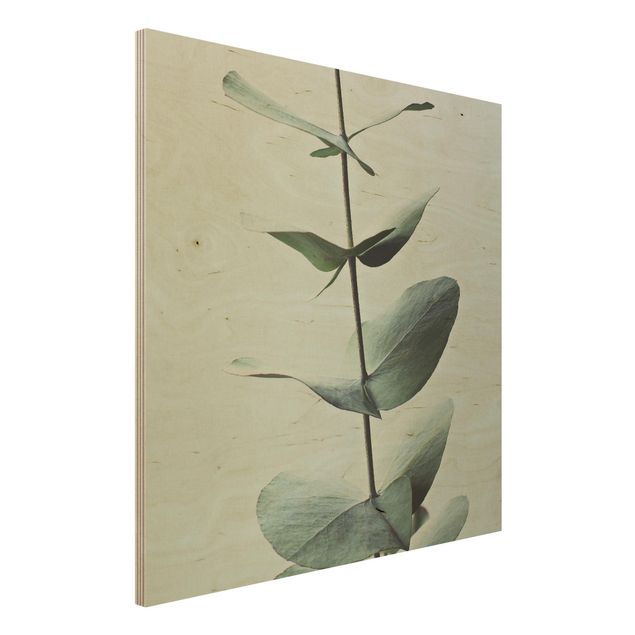Holzbilder Blumen Symmetrischer Eukalyptuszweig