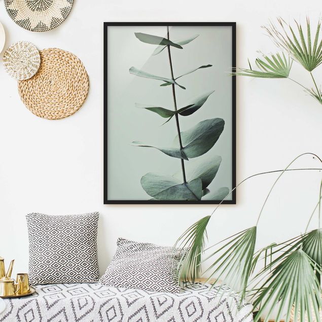 Bild mit Rahmen - Symmetrischer Eukalyptuszweig - Hochformat
