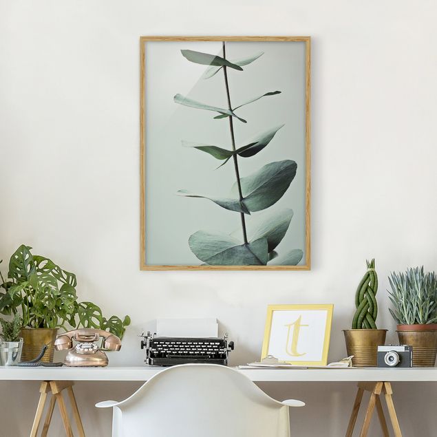 Bilder gerahmt Blumen Symmetrischer Eukalyptuszweig