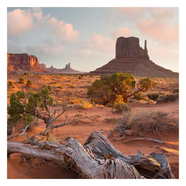 Fototapete - Monument Valley Navajo Tribal Park Arizona