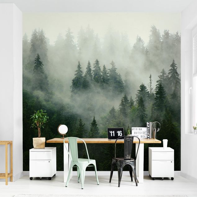Tapeten kaufen Tiefgrüner Tannenwald im Nebel