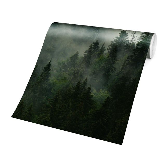 Tapete selbstklebend Tiefgrüner Tannenwald im Nebel