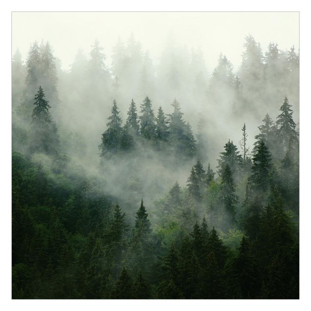 Fototapete - Tiefgrüner Tannenwald im Nebel