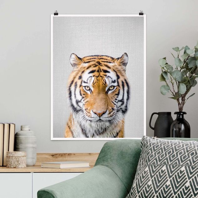 Poster Löwen Tiger Tiago