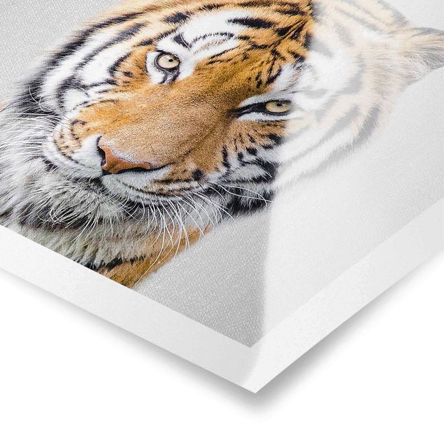 Poster bestellen Tiger Tiago