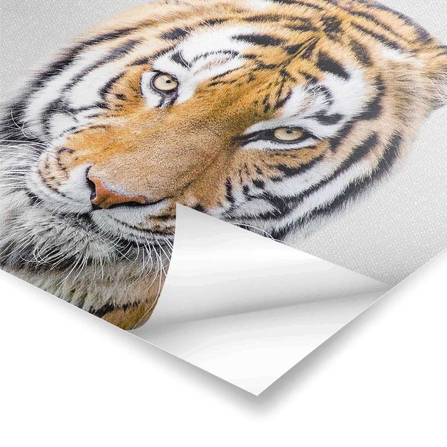 Poster - Tiger Tiago - Quadrat 1:1