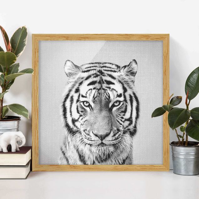 schwarz-weiß Bilder gerahmt Tiger Tiago Schwarz Weiß