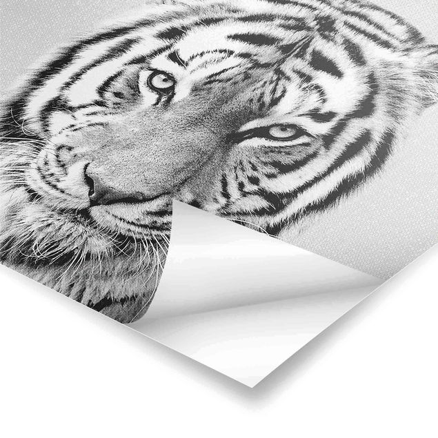 Poster - Tiger Tiago Schwarz Weiß - Quadrat 1:1