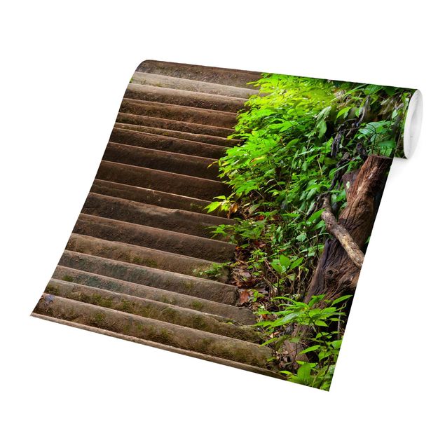 Tapete selbstklebend Treppenaufstieg im Wald