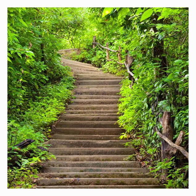 Fototapete - Treppenaufstieg im Wald