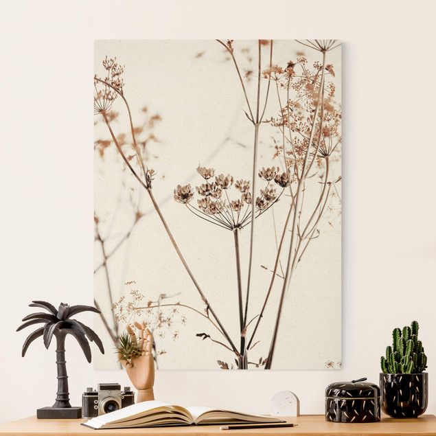 Wandbilder Trockenblume im Lichtspiel