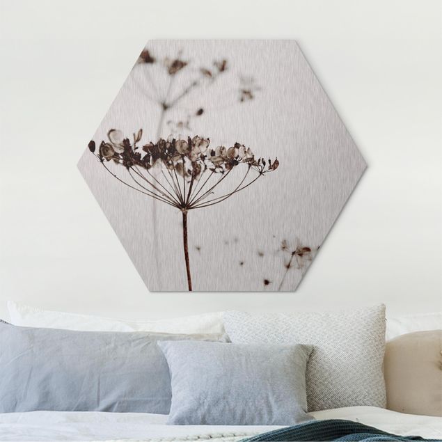 Hexagon Bild Alu-Dibond - Trockenblume im Schatten