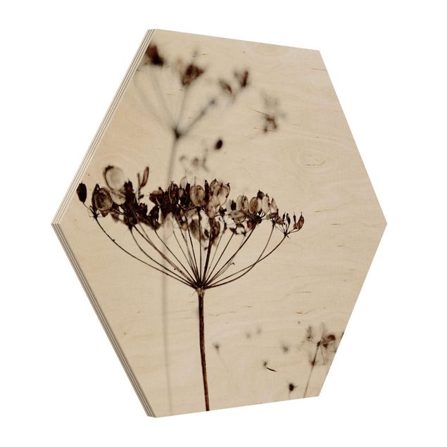 Hexagon Bild Holz - Trockenblume im Schatten